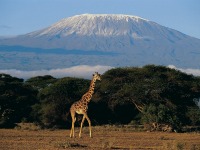 September is a good time to see Kenya's wildlife
